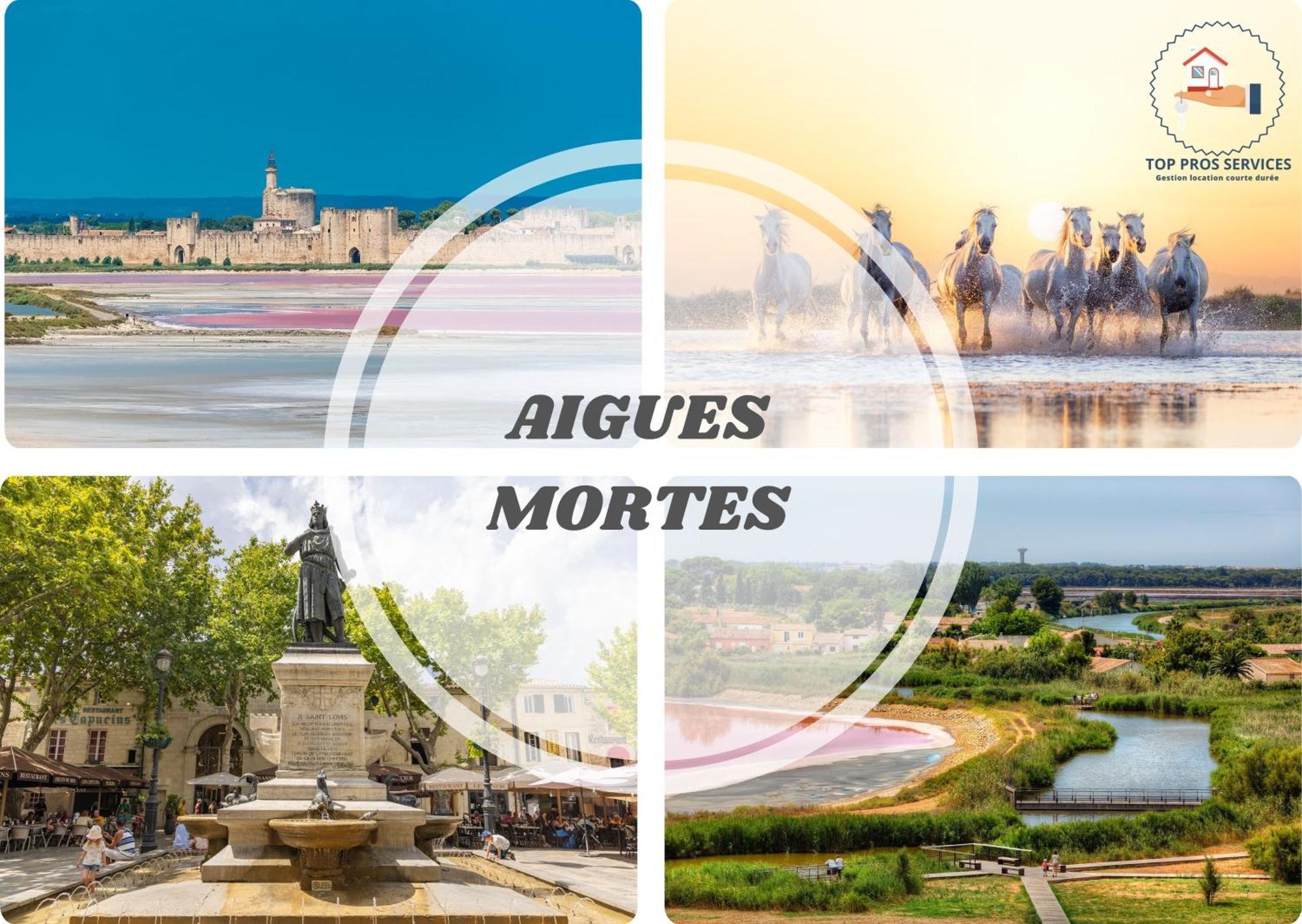 Les Marines Port 2 Min Plage Camargue- Top Pros Services Conciergerie La Grande Motte 모기오 외부 사진